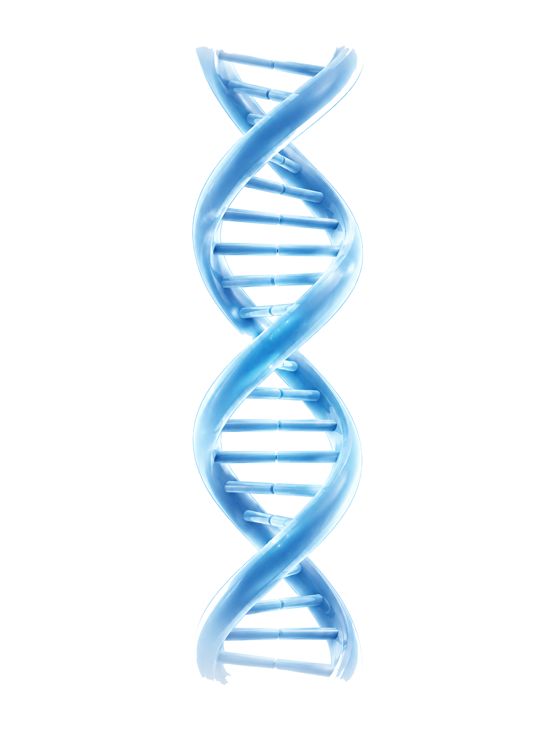 DNA